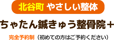 ちゃたん鍼きゅう整骨院＋